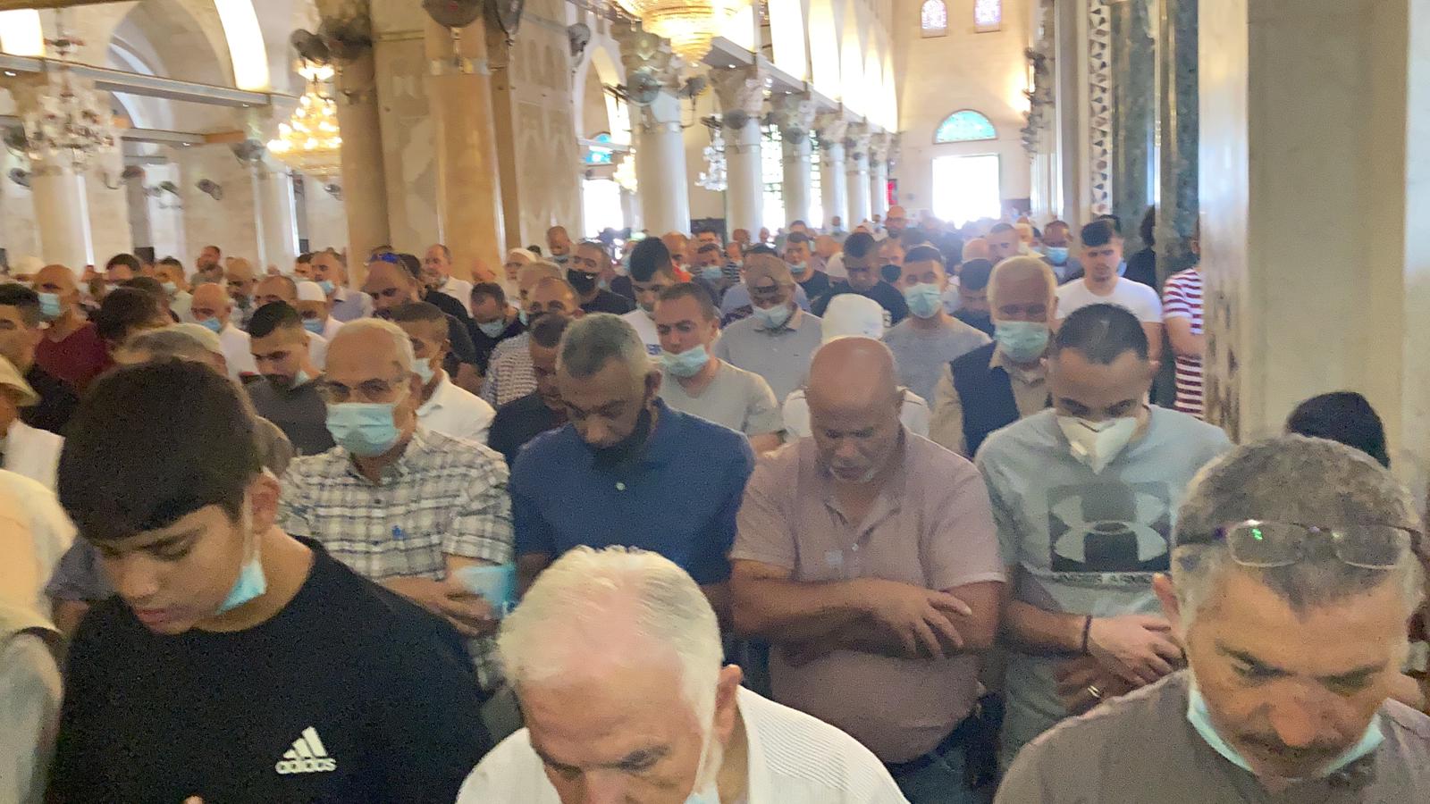 WhatsApp Image 2020-08-26 at 1.18.22 PM.jpeg.jpeg